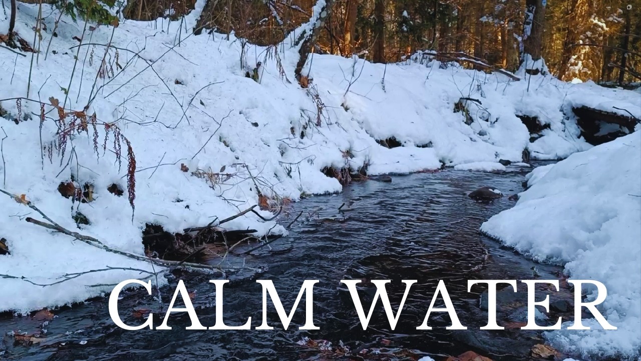 Calm Stream in the Forest | 2 Hours of Relaxing Nature Sounds for Sleep & Meditation