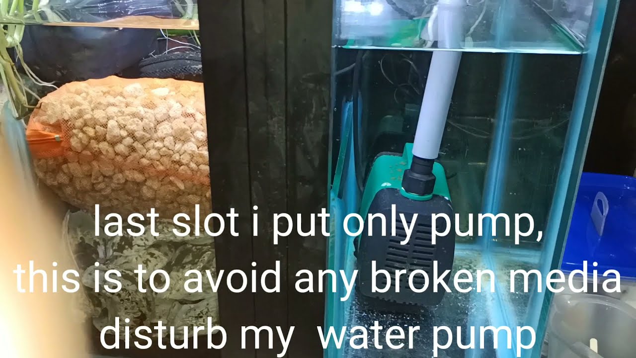 How aquarium sumptank filters works explained.[ Cara sump tank berfungsi.]