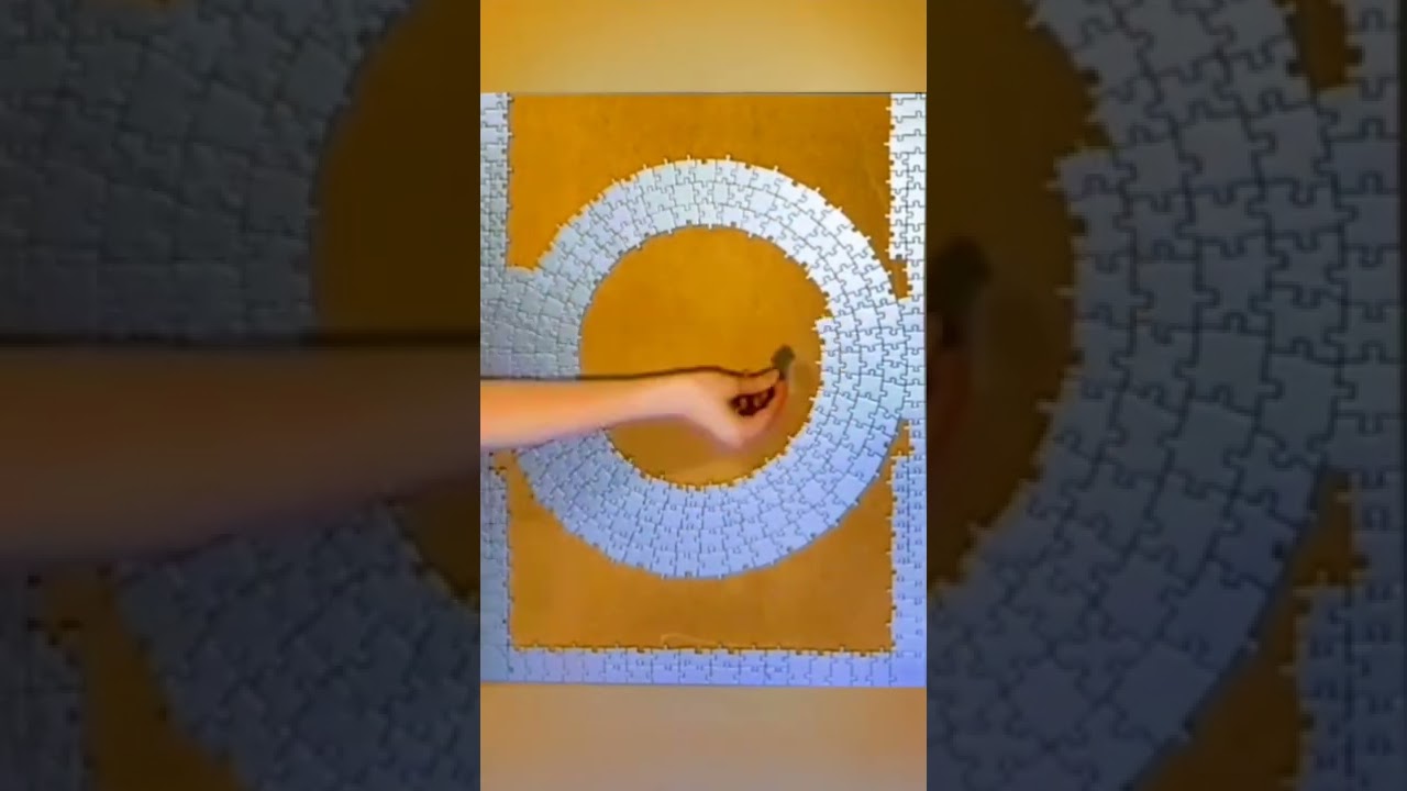 Hardest Puzzle I've Ever Done | #shorts #puzzle #timelapse #timelapsepuzzle #puzzletimelapse