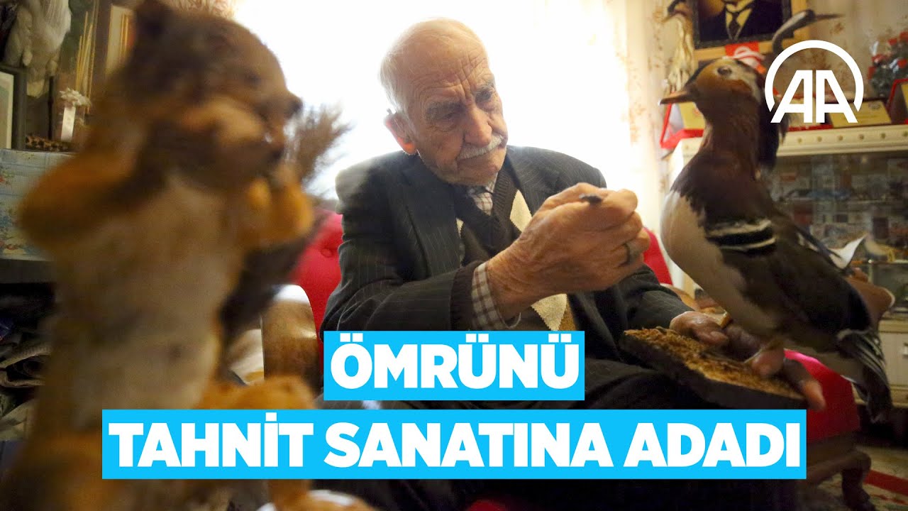 'Kuşçu dayı' olarak bilinen tahnit ustası, 61 yılda bine yakın hayvanı doldurdu