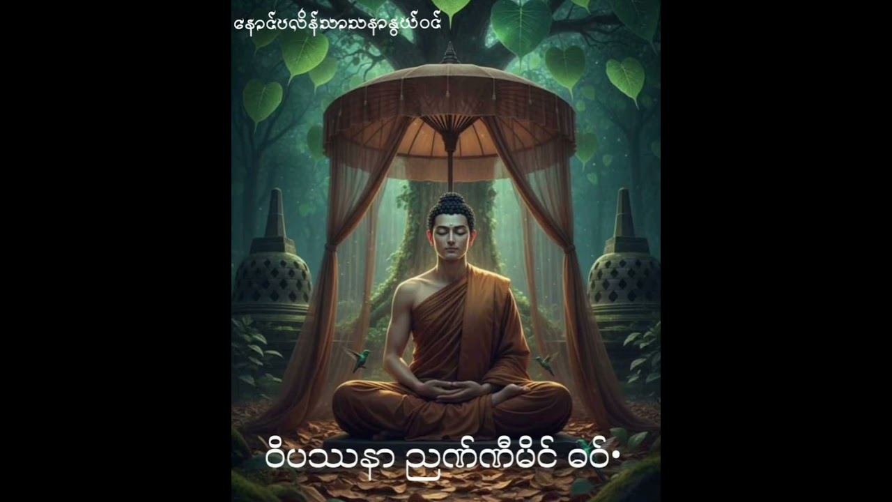 ဝိပဿနာ ညဏ်ဏီမိင် ဓဝ်•