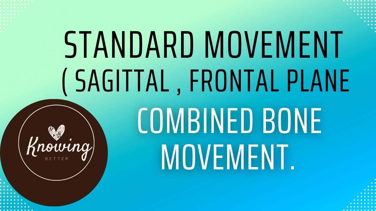 standard movement (sagittal, frontal plane), combined bone movement