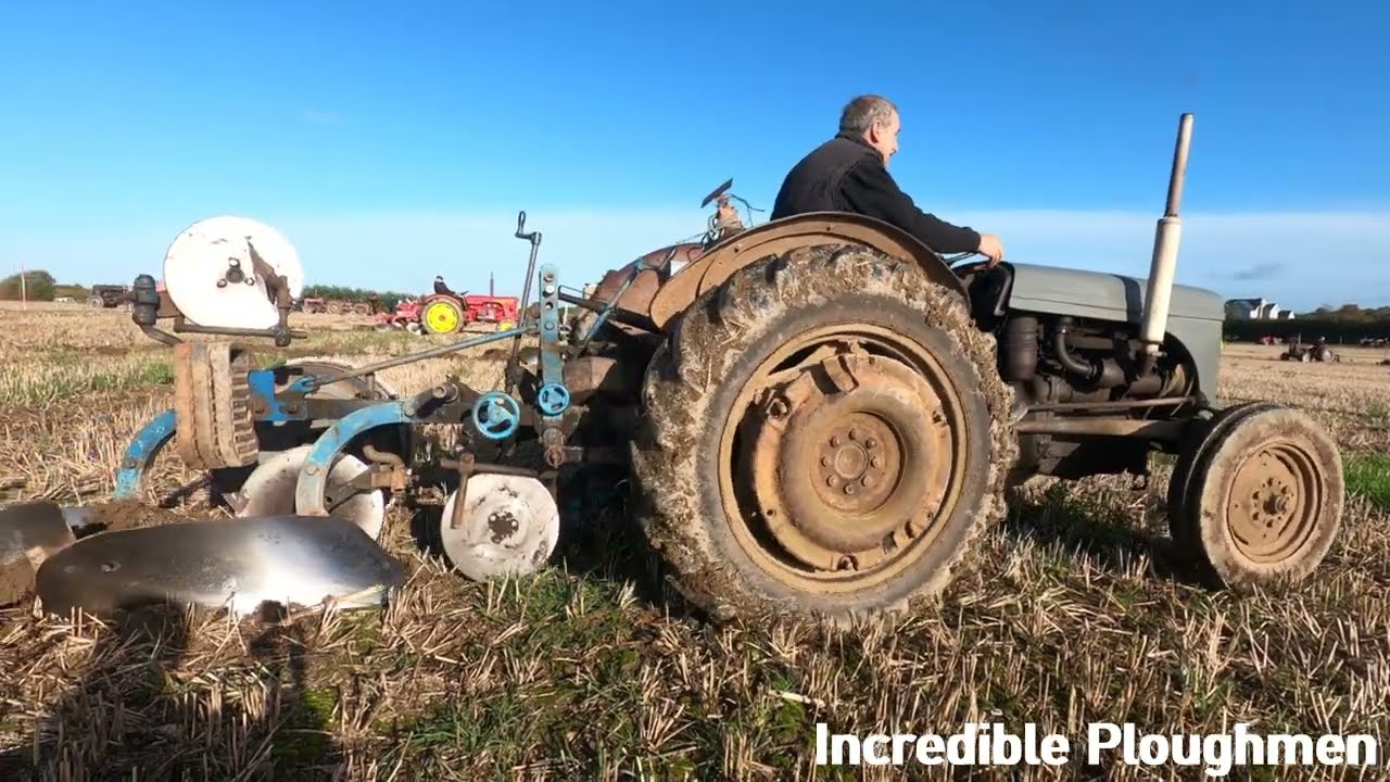1954 Ferguson TEF20 2.1 LItre 4-Cyl Diesel Tractor (28HP) Star Plough Salopian Ploughing Match 2023