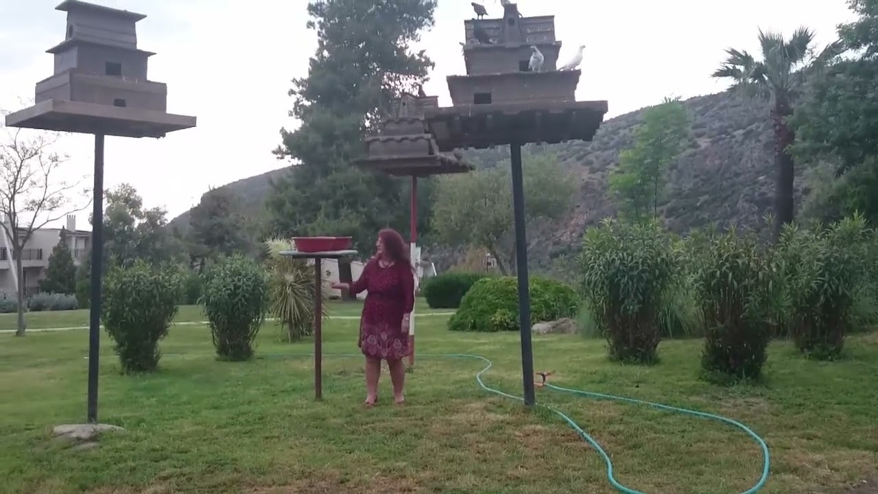 Azize GÜRSES - Bahçenizden Bir Taş Attım Vişneye - Malatya