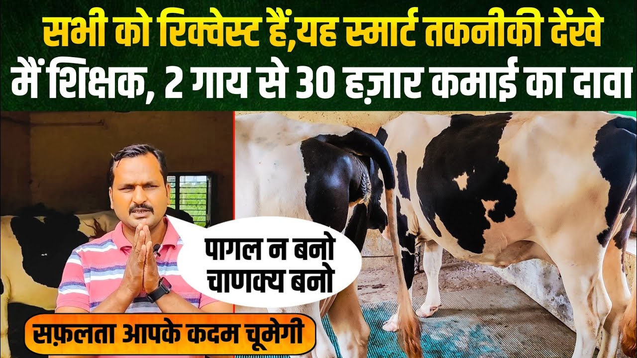 2 गाय का डेयरी फार्म कैसे शुरू करें/dairy farm up/dairy farm gorakhpur/small dairy farm/abs cow