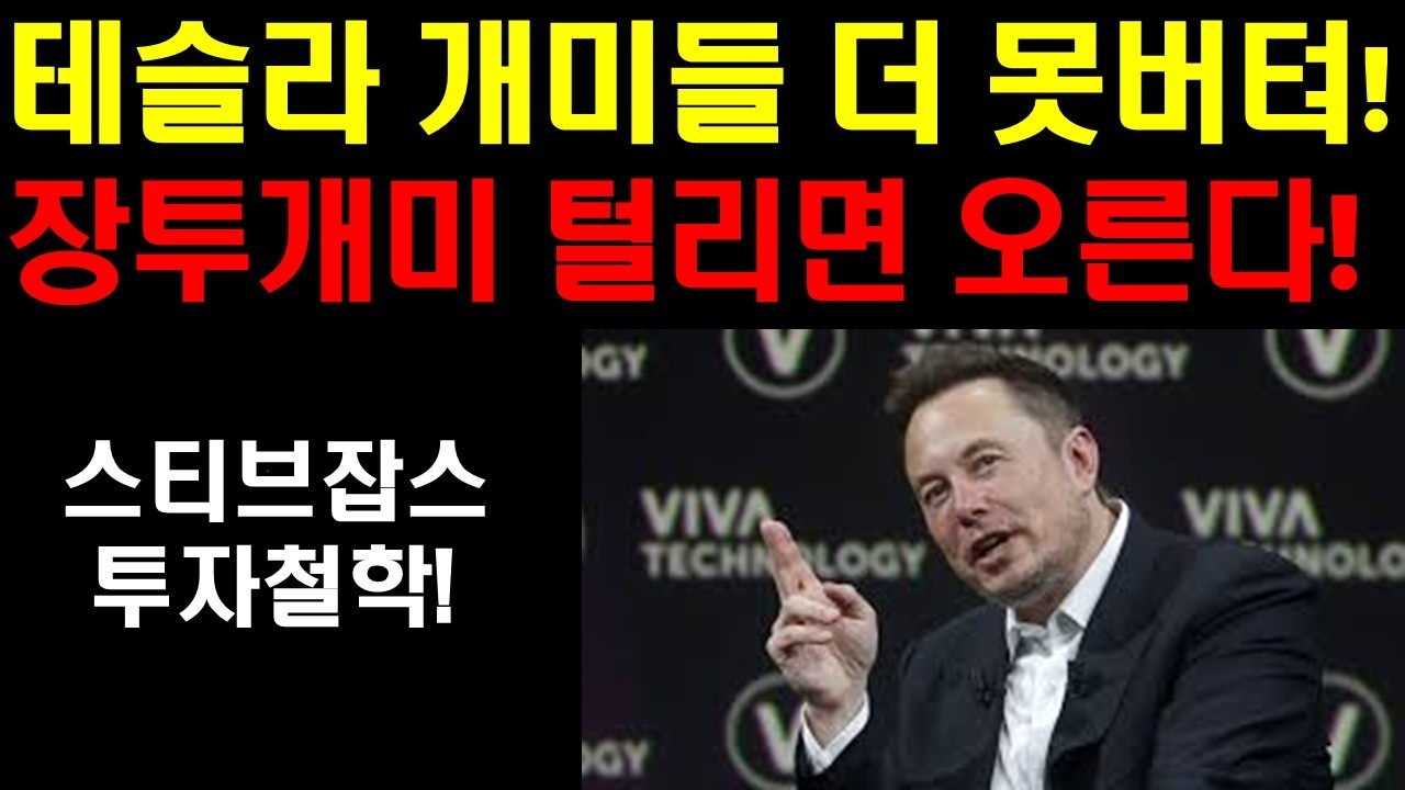 테슬라 개미들 더이상 못버텨! 장투개미들이 팔면 주가는 상승한다! 개미털기 한번와야 오른다! 스페이스X 매출 겨우 15억달인데 시가총액은 세계6위 고평가일까 미래 가능성일까?