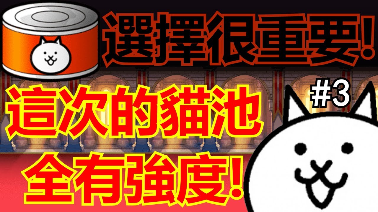 《貓咪大戰爭》真·神池來襲！非常推薦新手抽他們！ #3