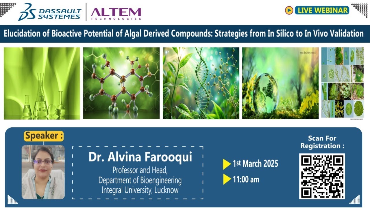 Elucidation of Bioactive Potential of Algal Derived Compounds: From In Silico to In Vivo Validation