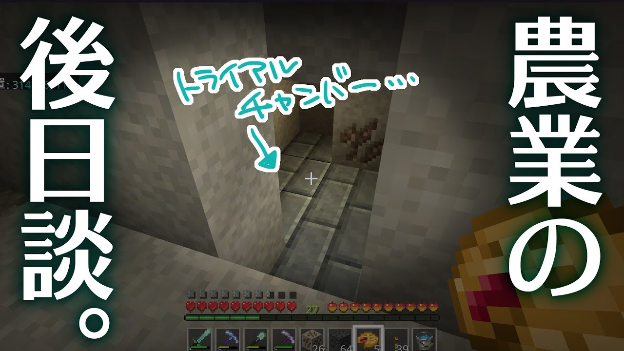 【Minecraft】トラチャン見つけてしまった【統合版】