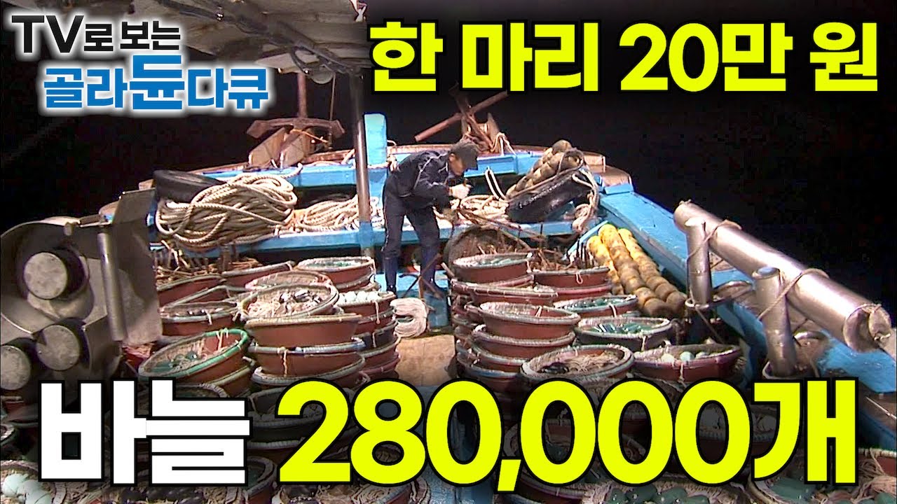 바구니 하나에 낚싯바늘 400발. 주낙 700개 작정하고 바다로 싣고 떠난 21톤급 풍년호 선원들은 과연 만선할 수 있을까?｜4박 5일 흑산도 만선 홍어잡이｜극한직업｜#골라듄다큐