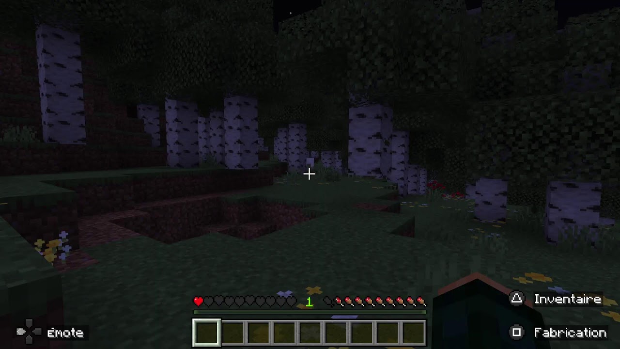 Live Minecraft fr 7k abos