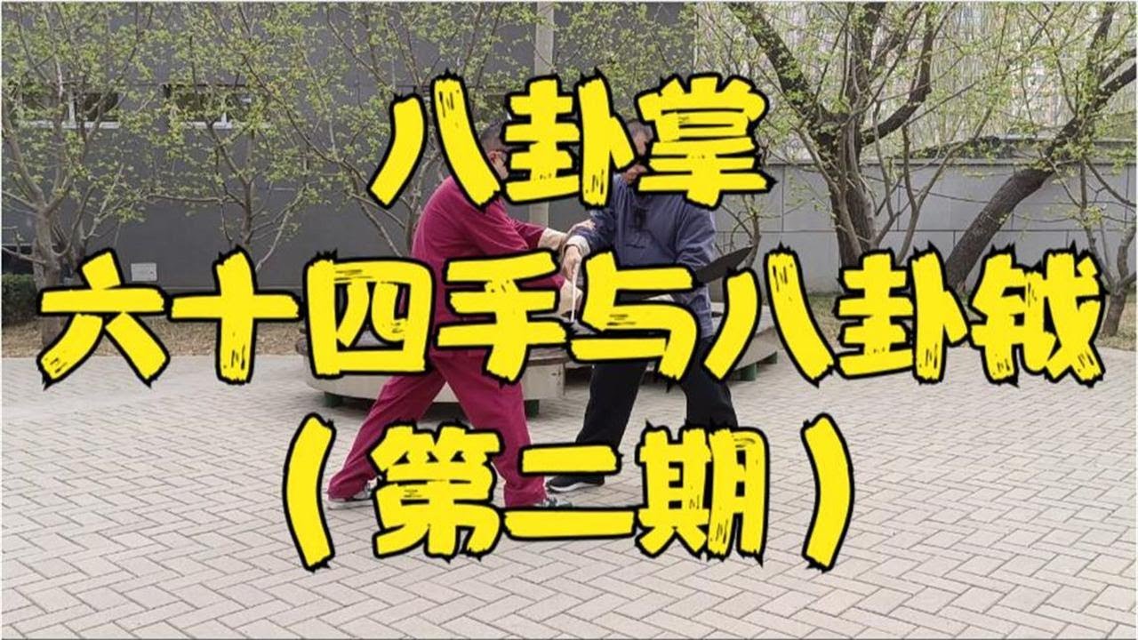 【八卦掌】六十四手与八卦钺第二期！挑手进掌！