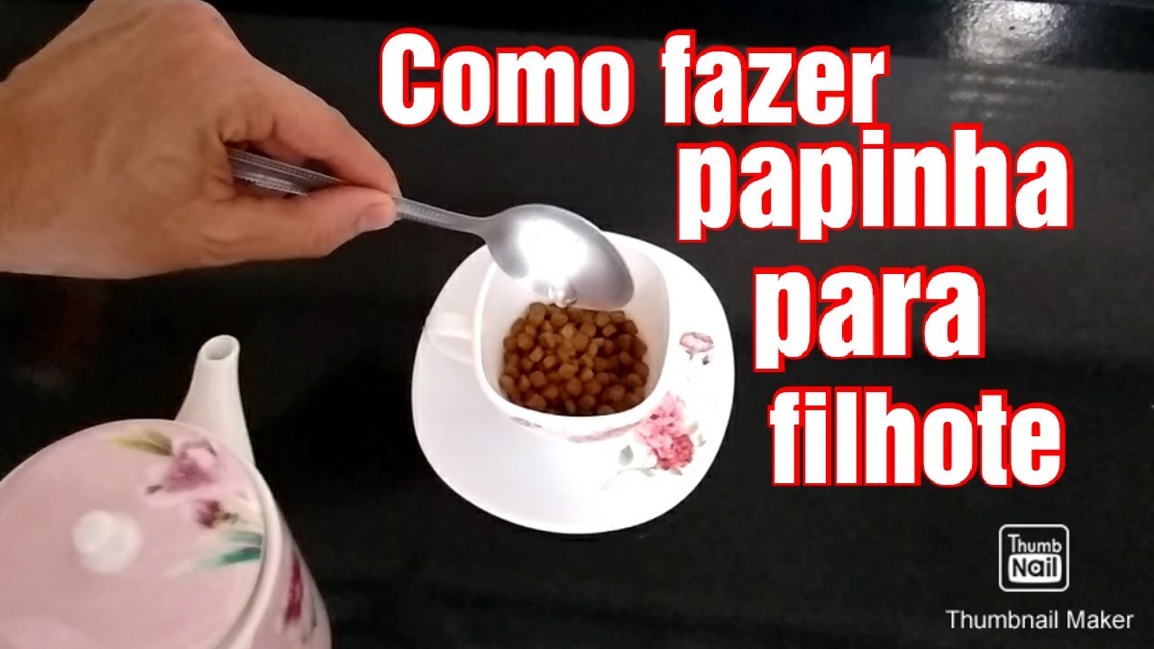 COMO FAZER PAPINHA PARA FILHOTES