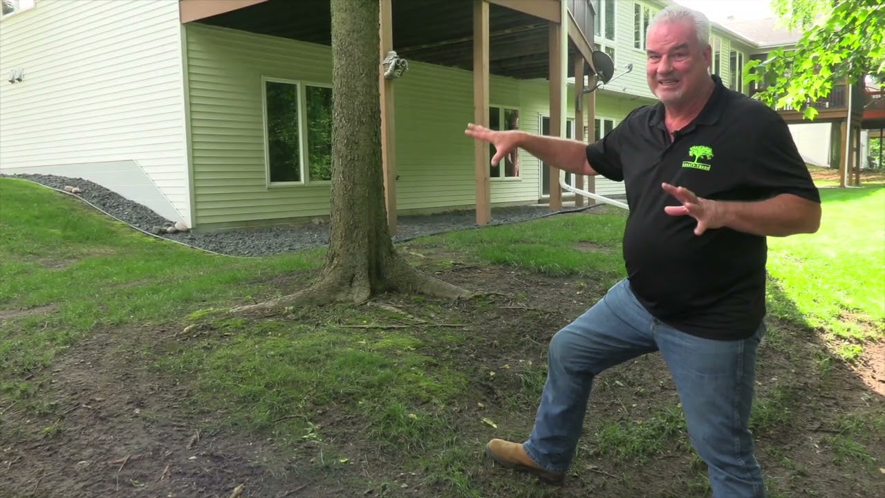 Trees are HOAs most important assets. Watch this walk around with Ron Zillmer of Legacy-Trees.