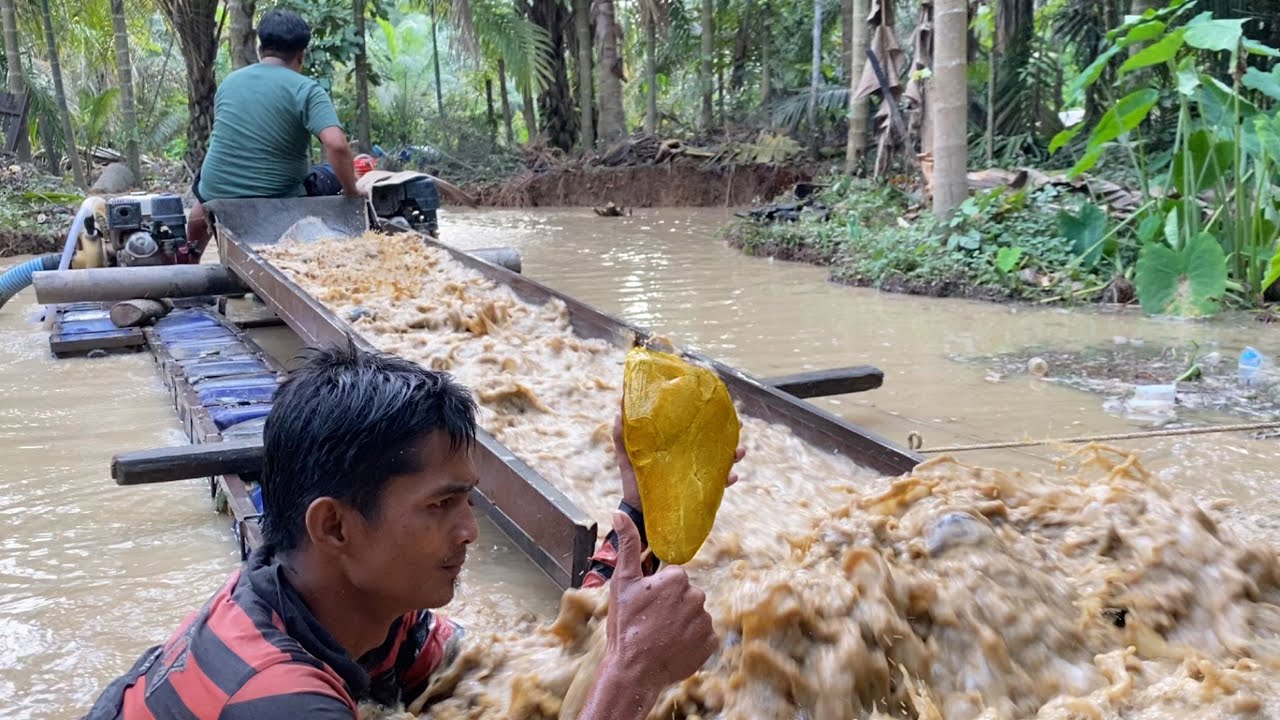 СТАНЬТЕ МИЛЛИОНЕРОМ.! ПОЛУЧИТЕ СОКРОВИЩЕНИЕ .. РЕЧНОЕ ЗОЛОТО В ИНДОНЕЗИИ | ПОИСКИ ЗОЛОТА В РЕКЕ