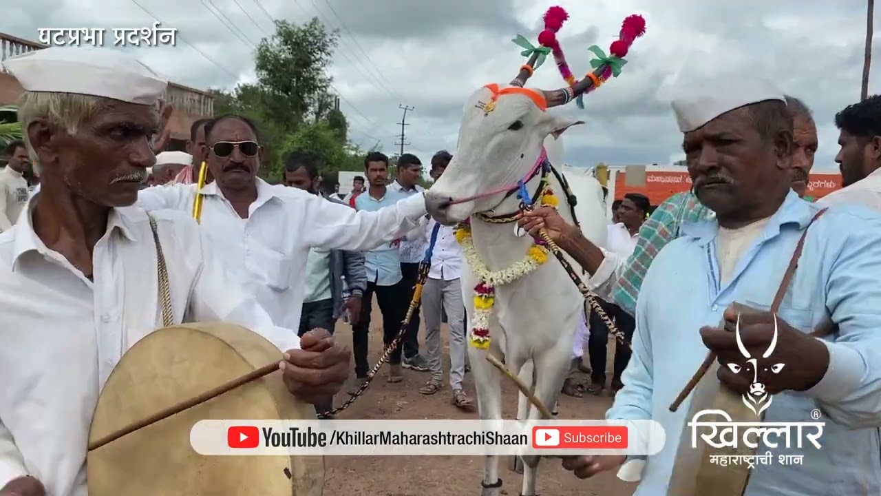 निराळे सावकार, चडचण । घटप्रभा प्रदर्शन | Khillar Maharashtrachi Shaan 2022