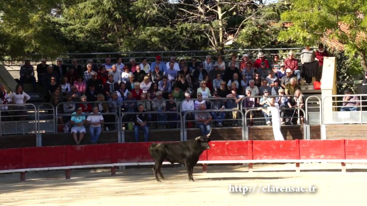 Vendargues jeunes raseteurs 26 octobre 2014 partie 1