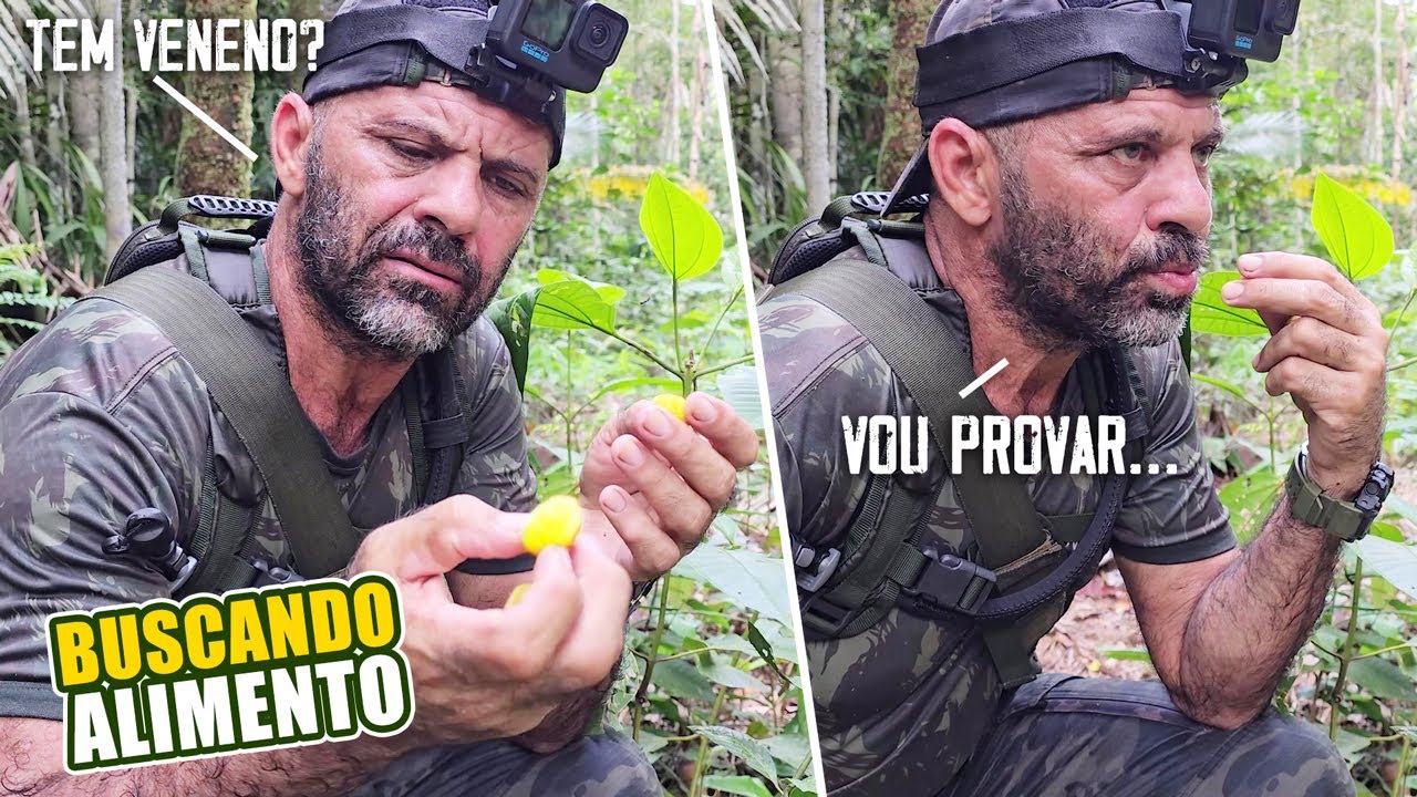 IDENTIFICANDO O QUE PODE OU NÃO COMER NA SELVA