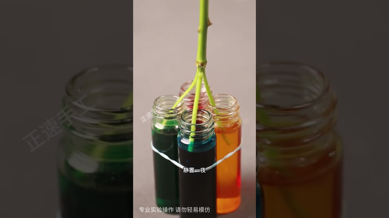 超硬核的课本科学，打卡好玩小实验#科学小实验 #科学技術 #science #百科密码 #科普