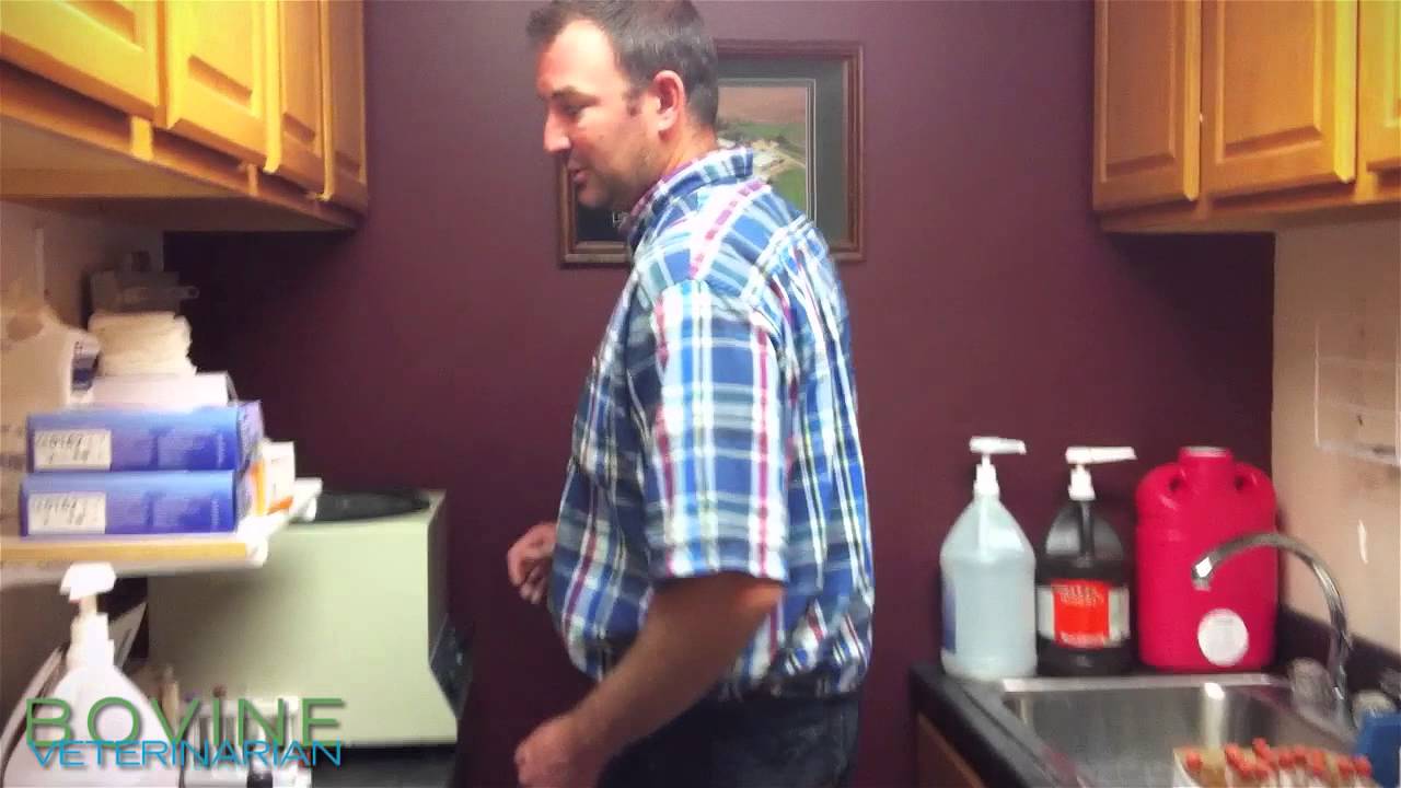 Fecal testing cattle