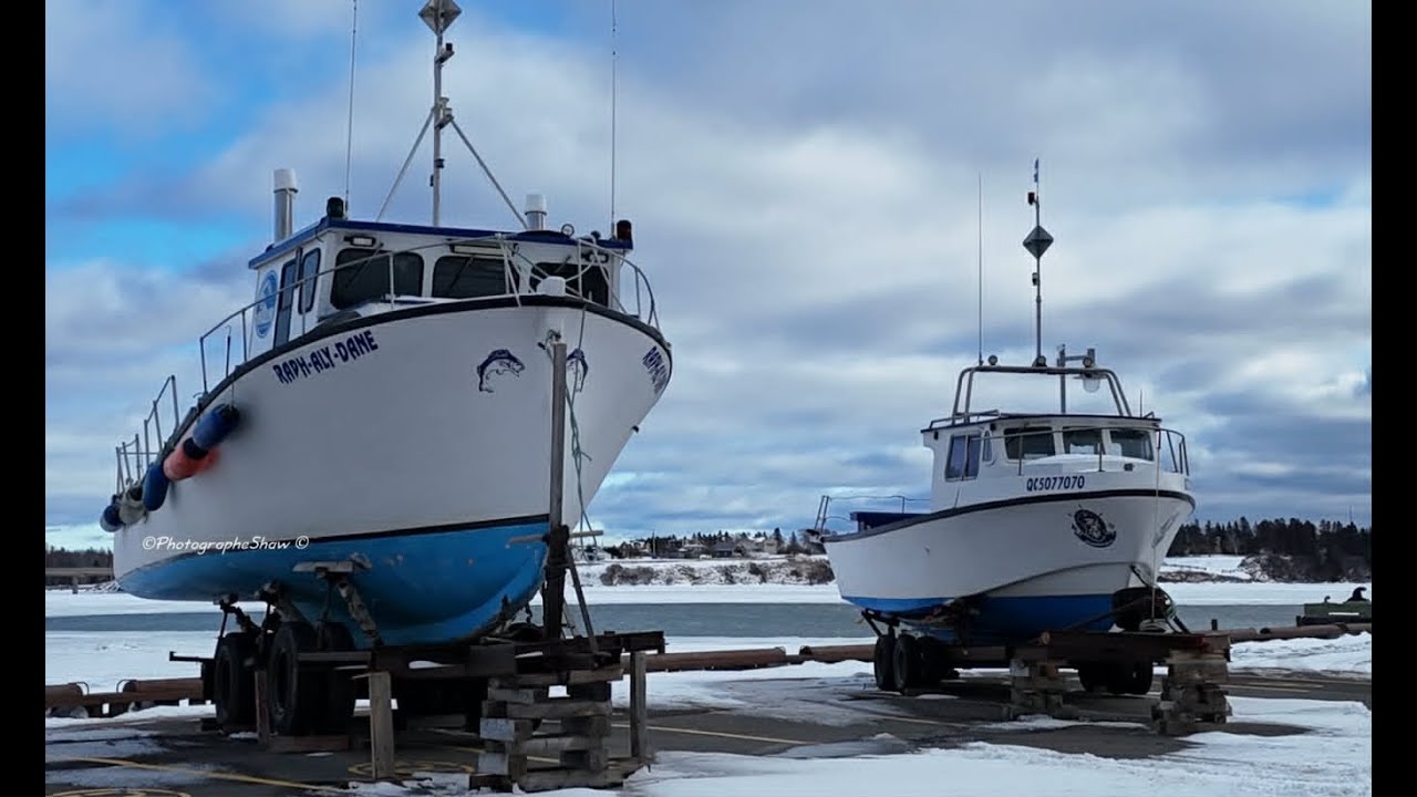 Quai De Bonaventure Gaspesie Quebec Canada 🍁 2025 г.