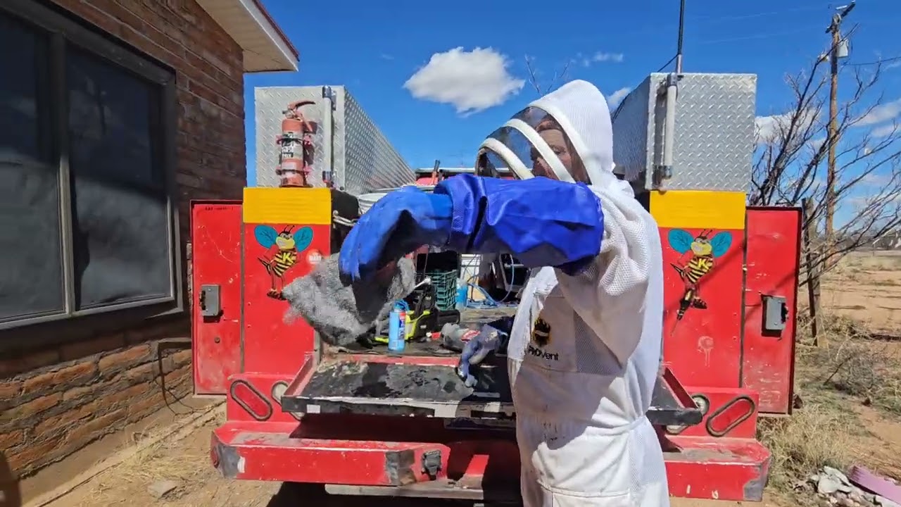 2 Hives - 1 Room