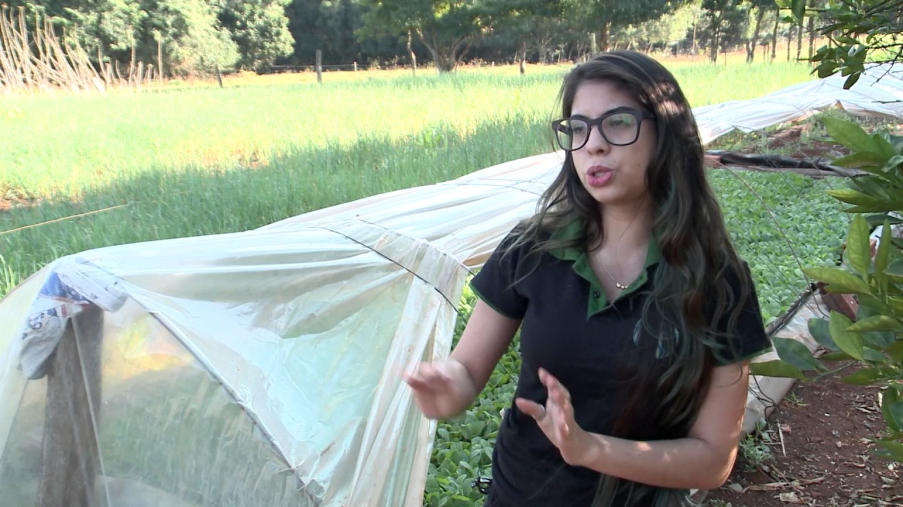 Pesticidas Naturais - Repórter Junior Rocha - Caminhos do Oeste