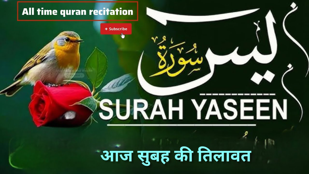 #yasin#surah#yasin#sharif#orignal#best#voice 