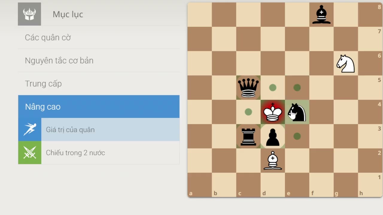 Lam learn chess I Nguyên tắc cờ vua P4