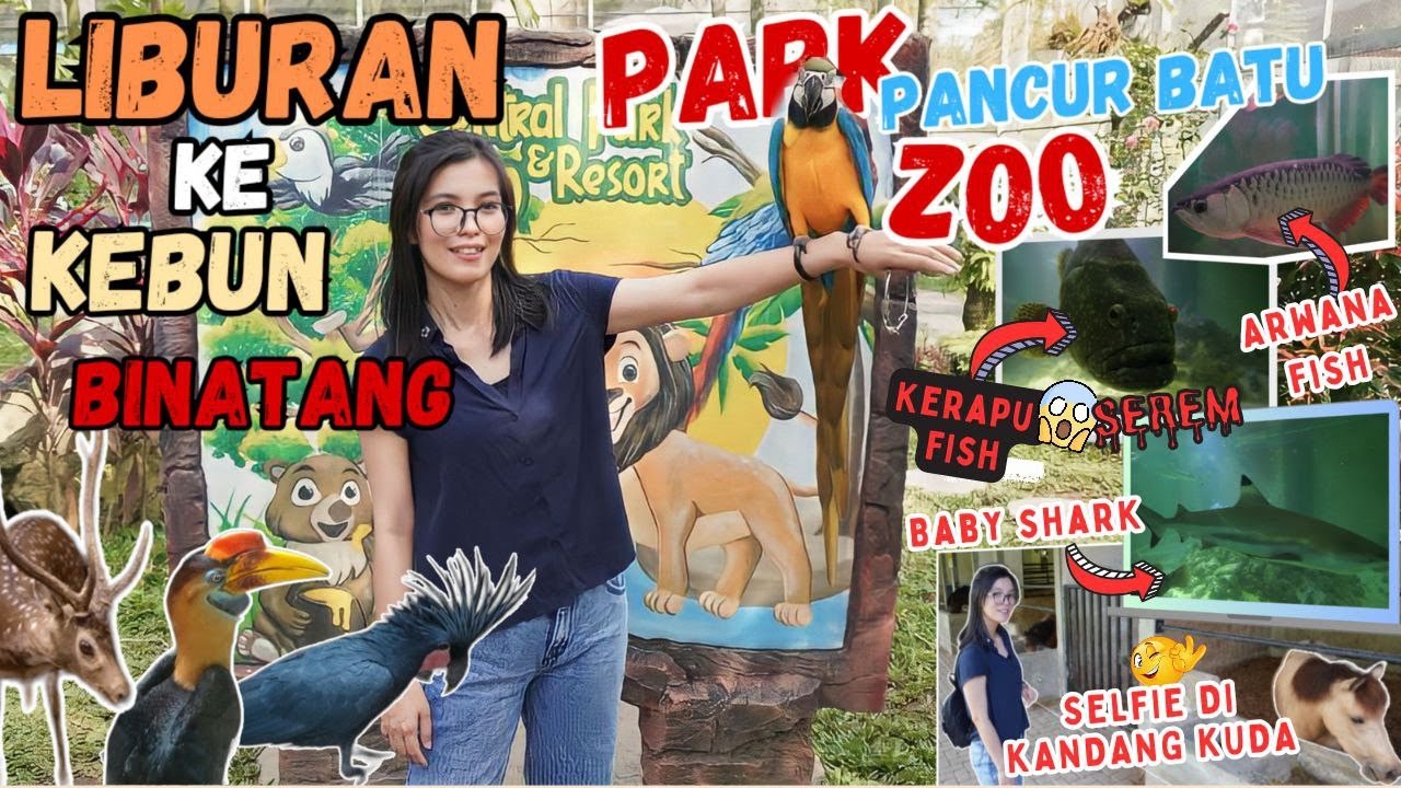 Main-Main Ke Central Park zoo&Resort Pancur Batu | seru banget!!😀😎