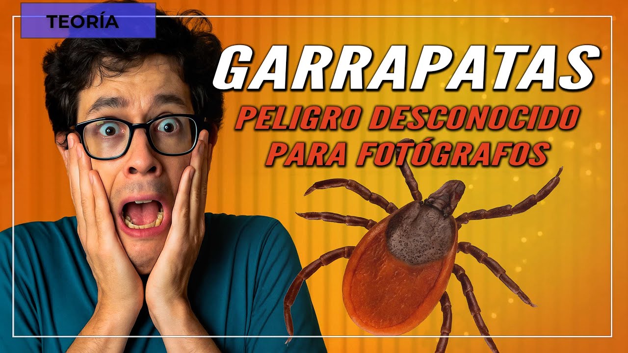 Muchos fotógrafos de paisaje no conocen este peligro. OJO CUIDADO con las Garrapatas.