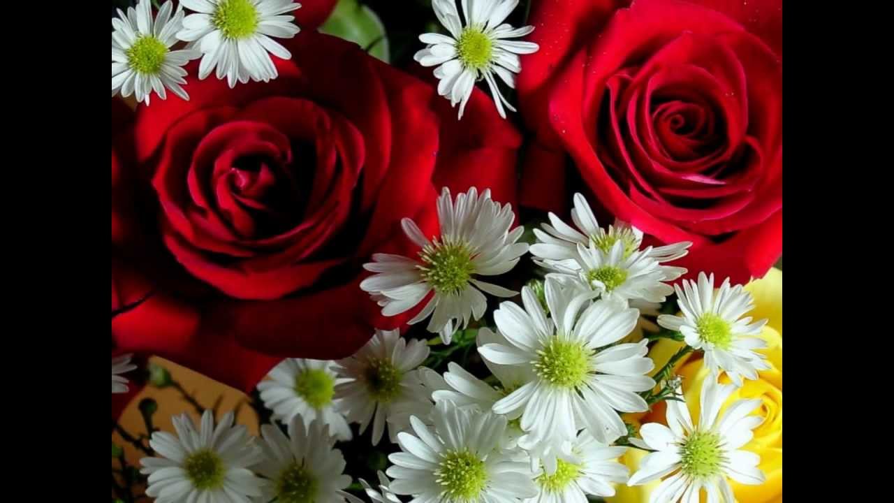 BUONA GIORNATA ..AMICI