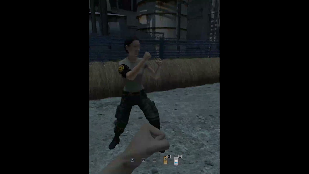 КОШЕЧКИ ДЕРУТСЯ #дейз #игры #gaming #fighting #girl #dayz #rp #cat #бой #рп