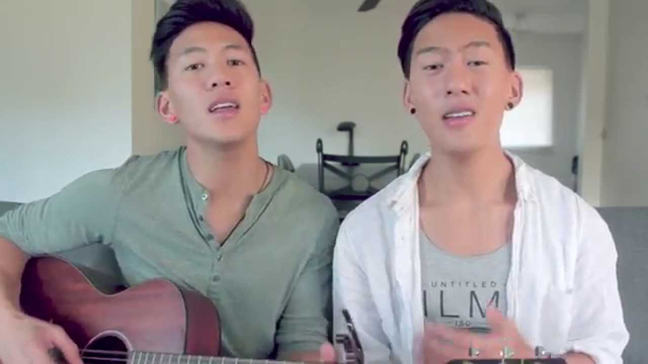 Wildest Dreams / What Do You Mean (Jrodtwins Mashup Cover)