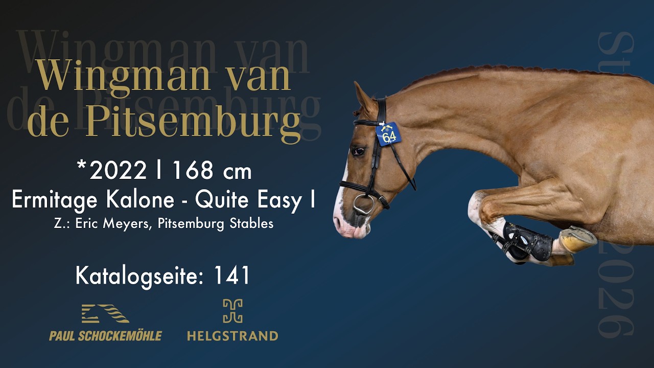 Wingman van de Pitsemburg