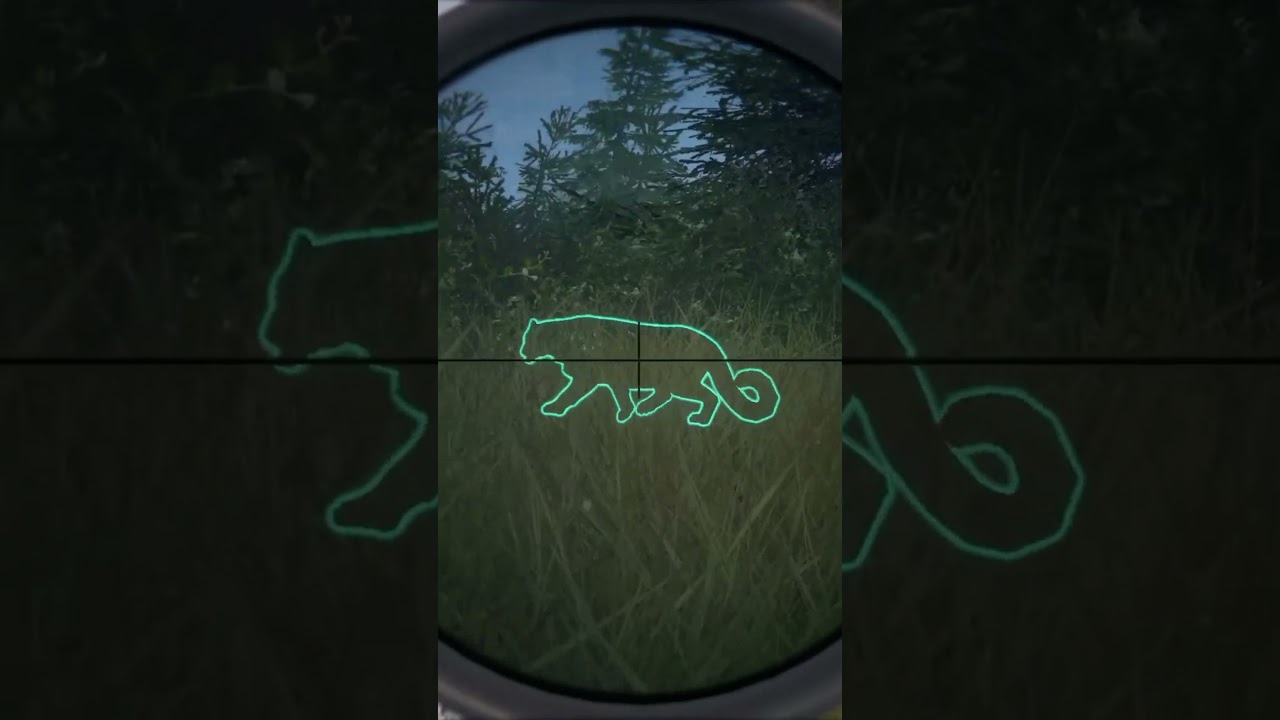 RARE Snow Leopard SCARES the HECK OUTTA ME!!! - Call of the Wild #shorts