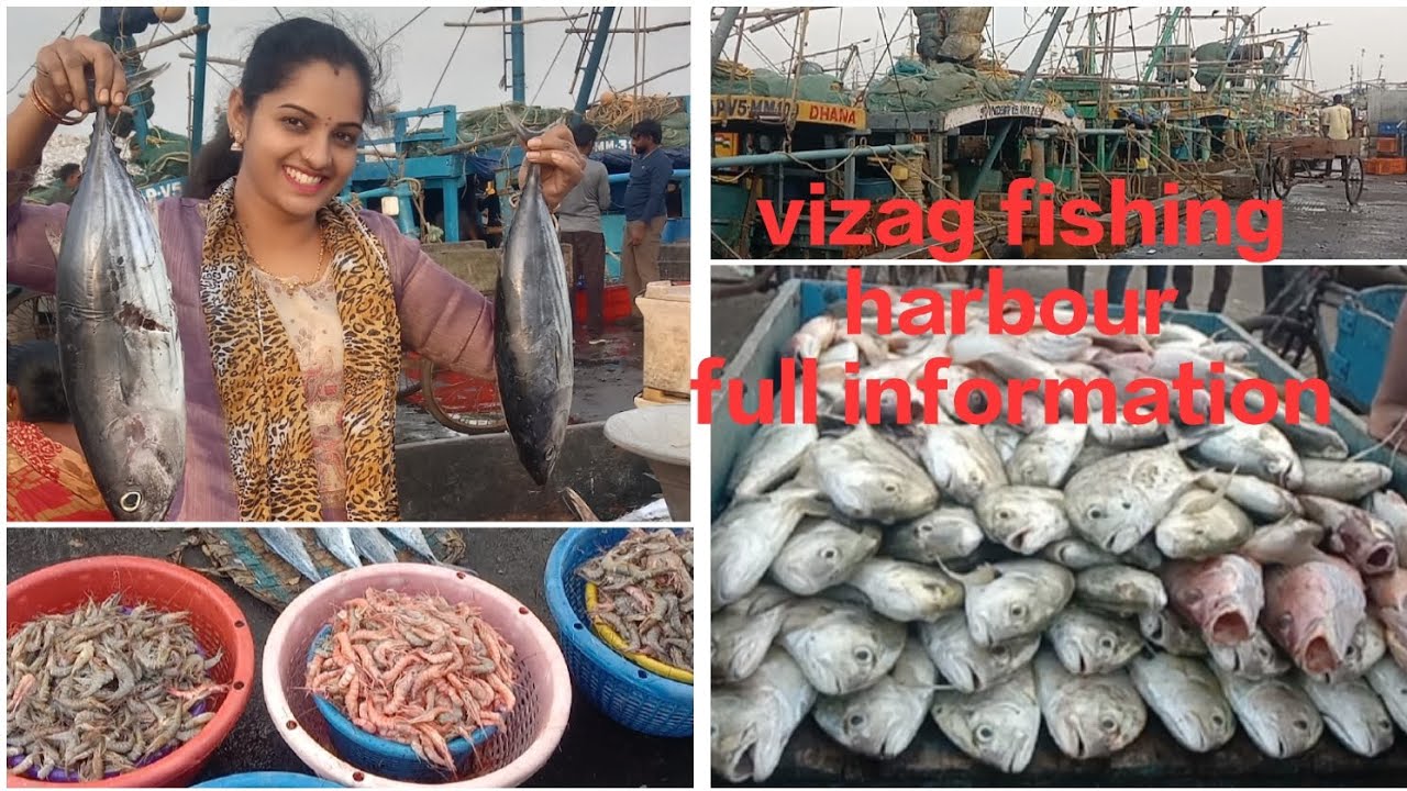 Vizag fishing harbour 🐠🐟#trending#vizag#fishing#harbour#vizagbeach#trending#viralvideo#entertainment