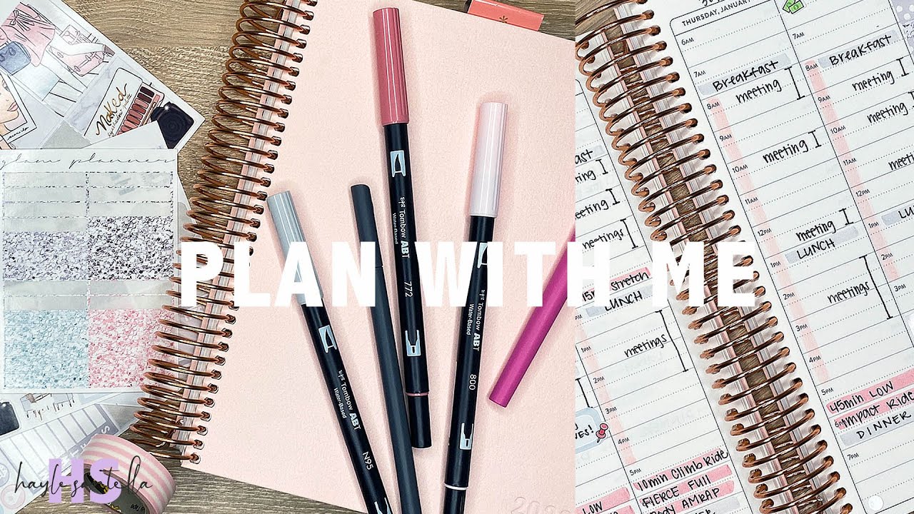 PLAN WITH ME | JAN 17-23 2022 | ERIN CONDREN HOURLY LIFE PLANNER | HAYLE PLANS