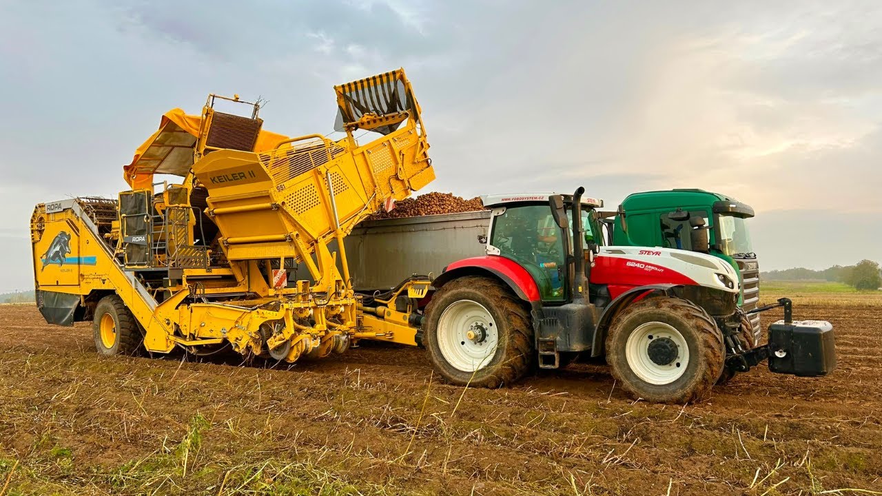 👉 MEGA POTATO HARVEST! 🥔 Truck STUCK in Mud! (Steyr & Ropa)