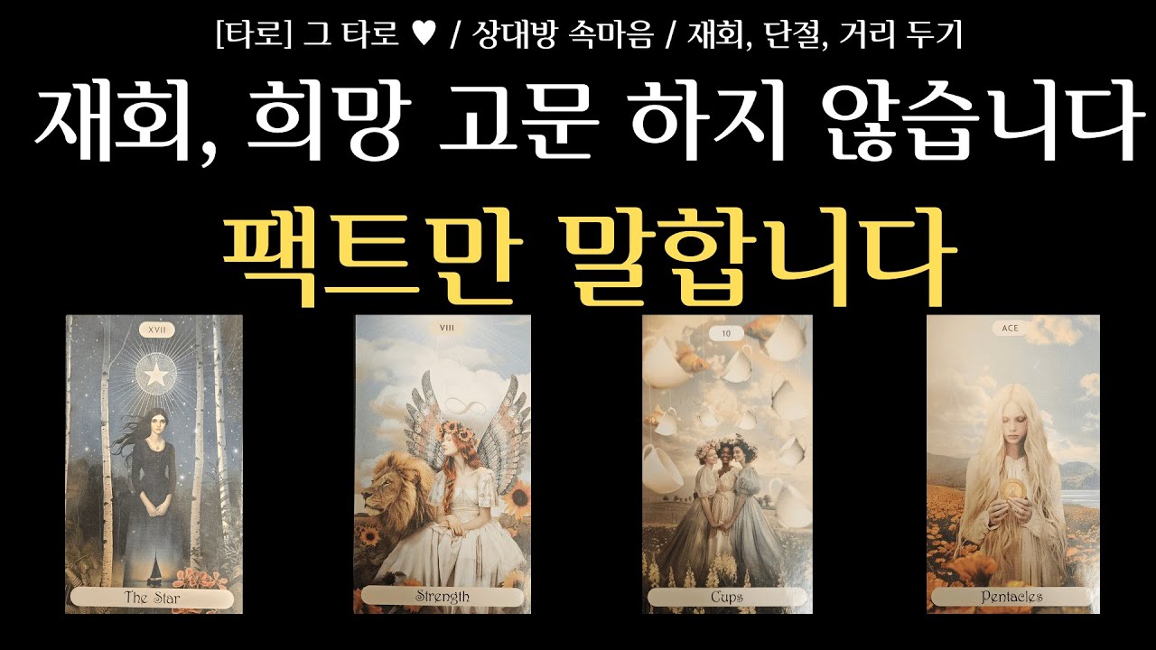 [타로] 그 타로 ♥ / 상대방 속마음 / 상대방이 놓지 못하는 이유 / 희망 고문 없는 팩트 재회