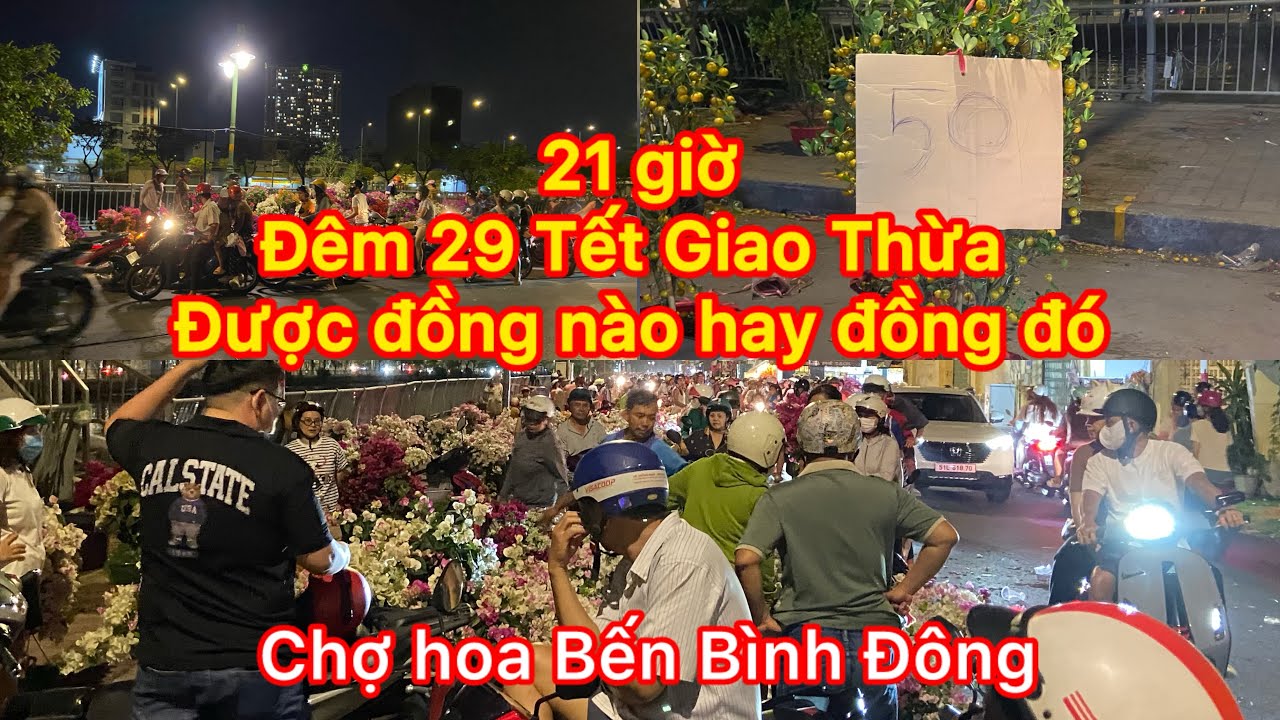 Đêm 29Tết nhà vườn cố bán 50k 100k cũng mừng chợ hoa Bến Bình Đông #tet 