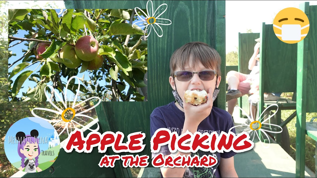 Visiting an Apple Orchard - Apple Picking Vlog for Fall