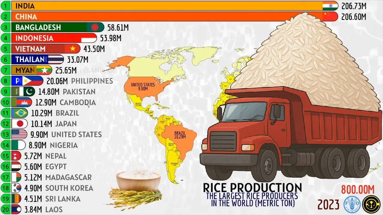 TOP 20 COUNTRIES WITH THE LARGEST RICE PRODUCTION IN THE WORLD