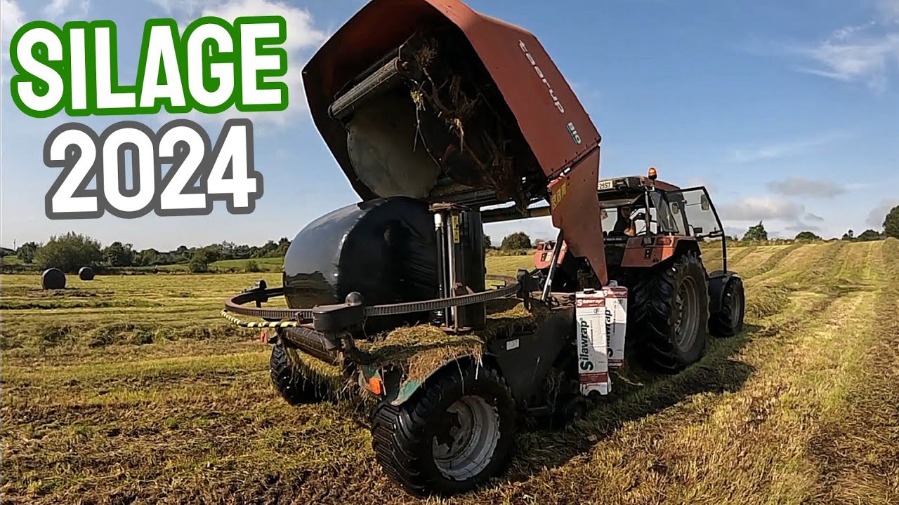 Silage 2024