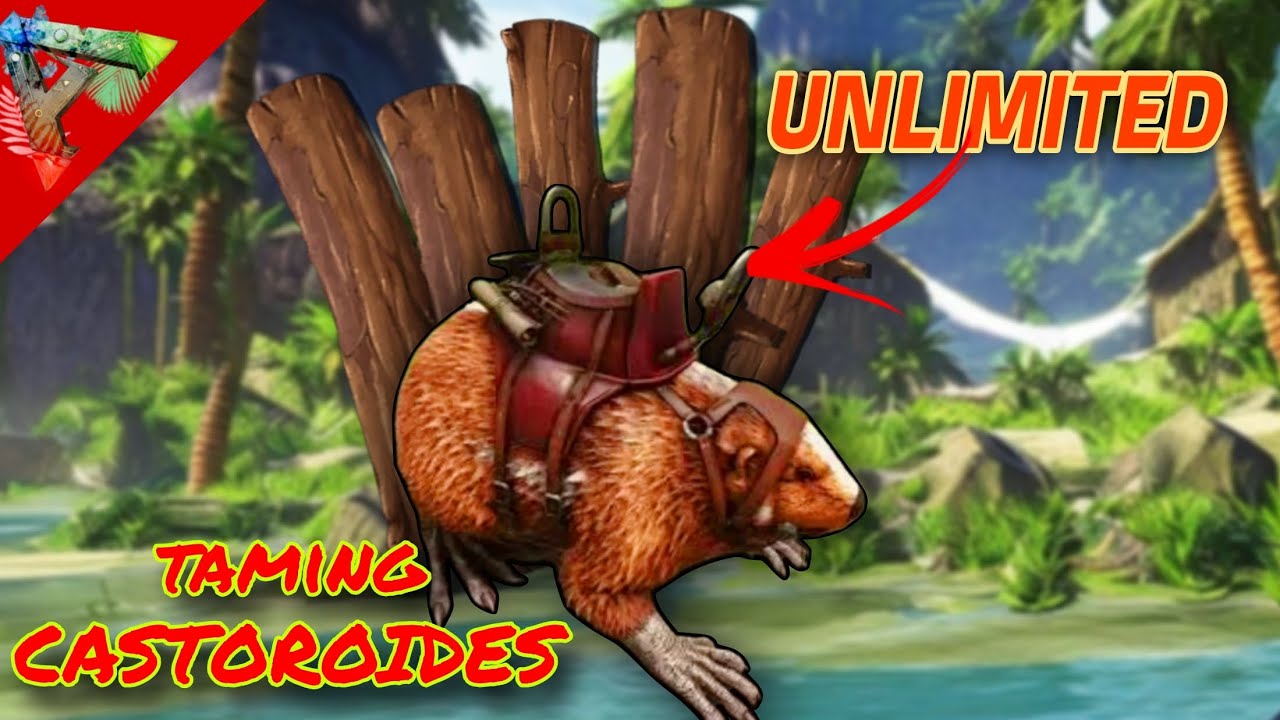 HOW TO TAME CASTOROIDES IN ARK  MOBILE💥 | how to get unlimited wood in ark ultimate edition ||
