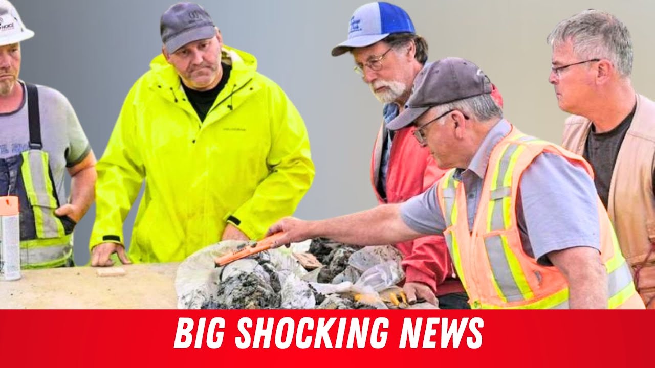 Secrets Revealed: Curse of Oak Island Strikes Gold with Garden Shaft Find