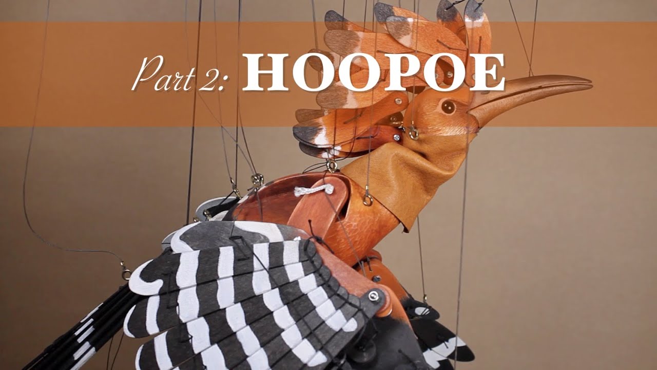 'Flying with Strings' part 2/3: HOOPOE