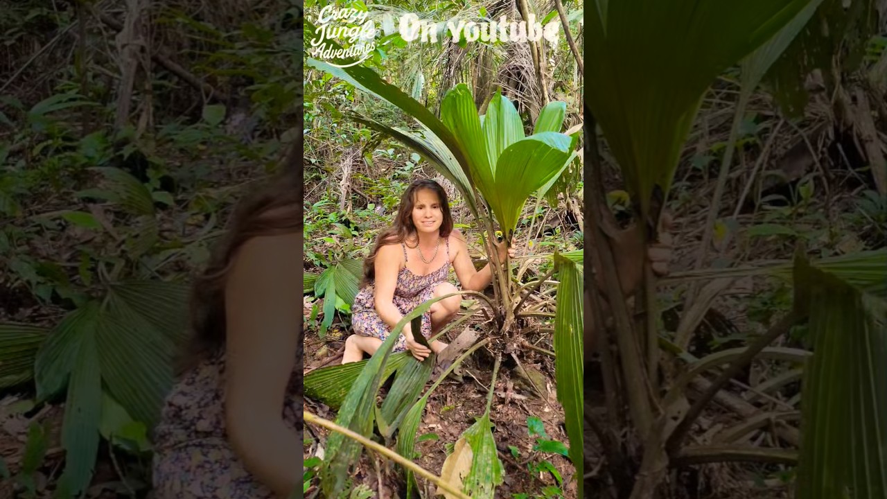 I found a beautiful palm I must have #plantlover