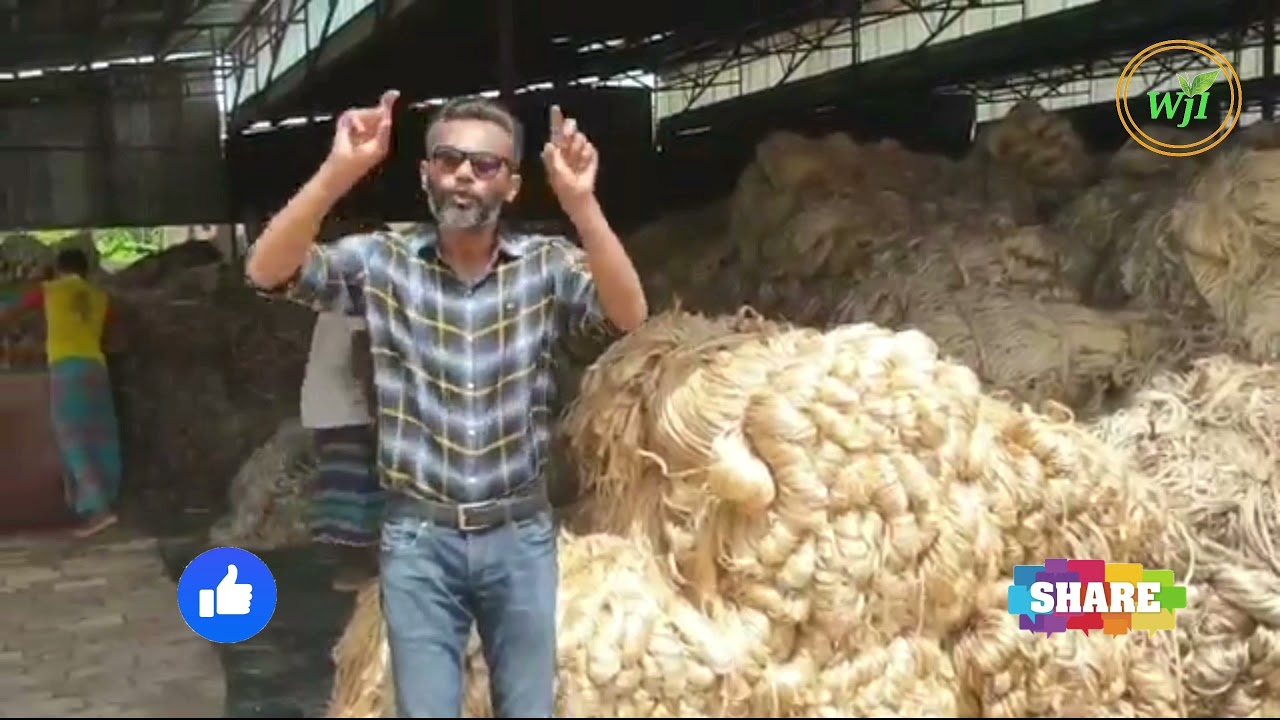 Jute|Bangladesh |600-1230gm Sacks|Export quality