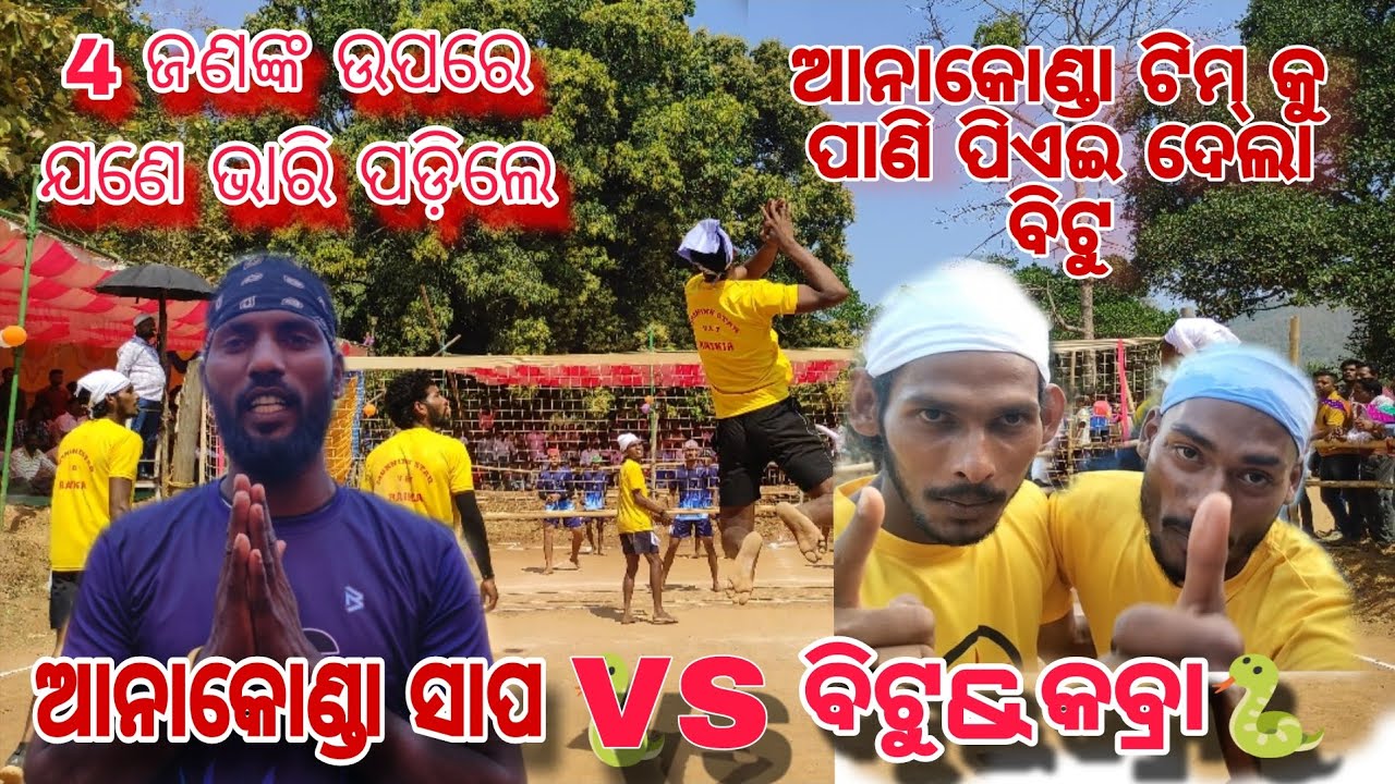 ଆନାକୋଣ୍ଡା ସାପ 🐍vs ଢମଣା & କବ୍ରା  ର ⚕️⚕️ ଲଢ଼େଇ  ଢମଣା  ଆନାକୋଣ୍ଡା କୁ ଆଟାକ୍  ଘନ ଘନ ଆକ୍ରମଣ 